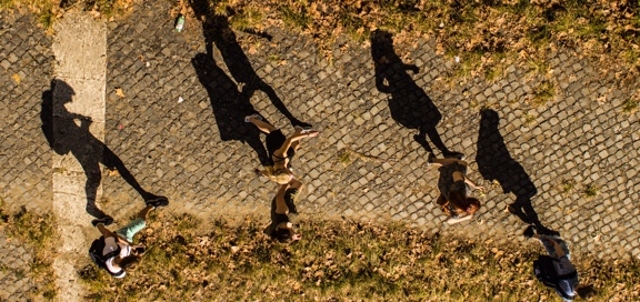 Orientation Image