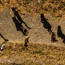 Orientation Image